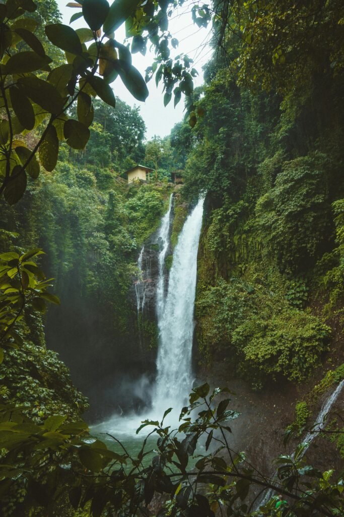 Stunning waterfall in a lush tropical rainforest in Sukasada, Bali. Perfect for nature lovers.